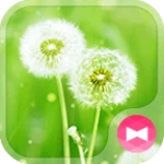 dandelion android application logo